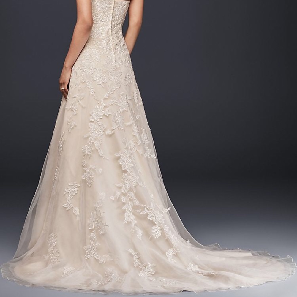 David’s Bridal champagn a-line wedding gown